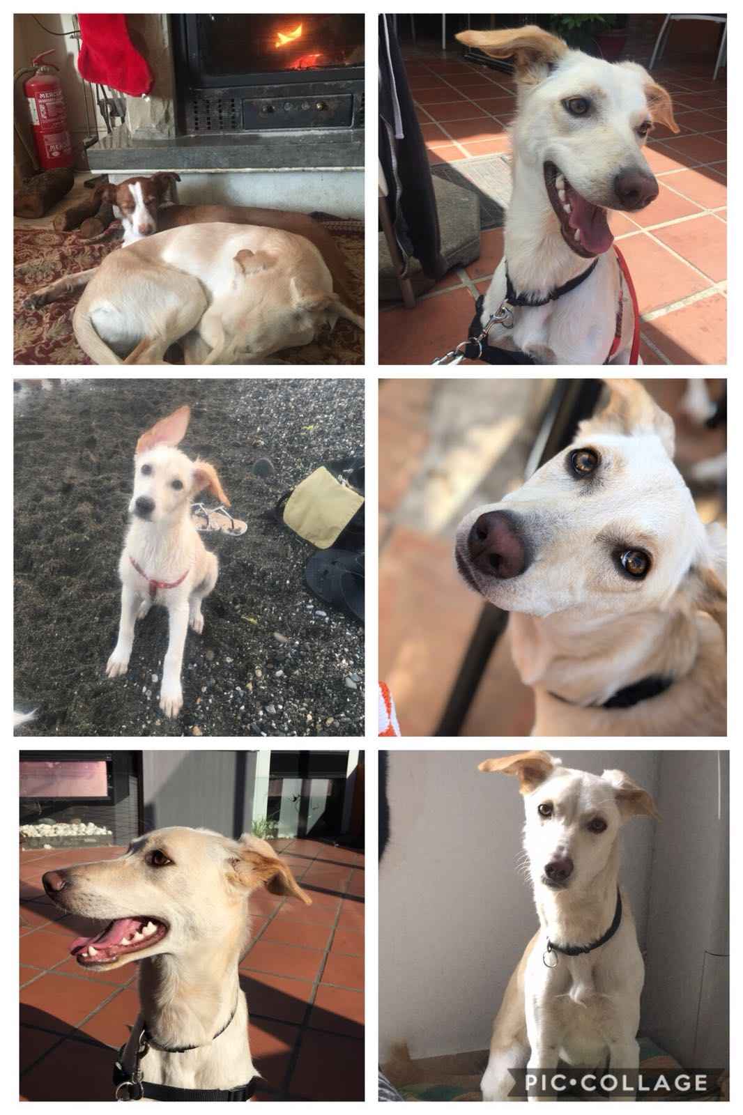 Image Title My Image