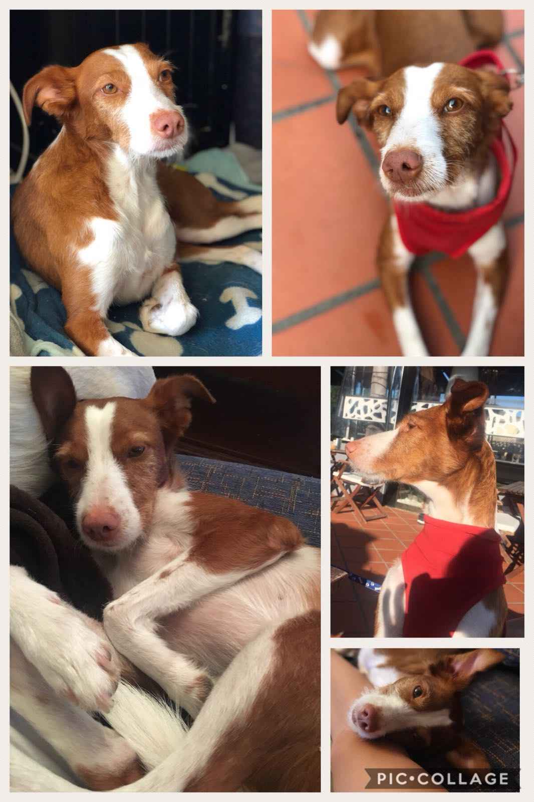 Image Title My Image