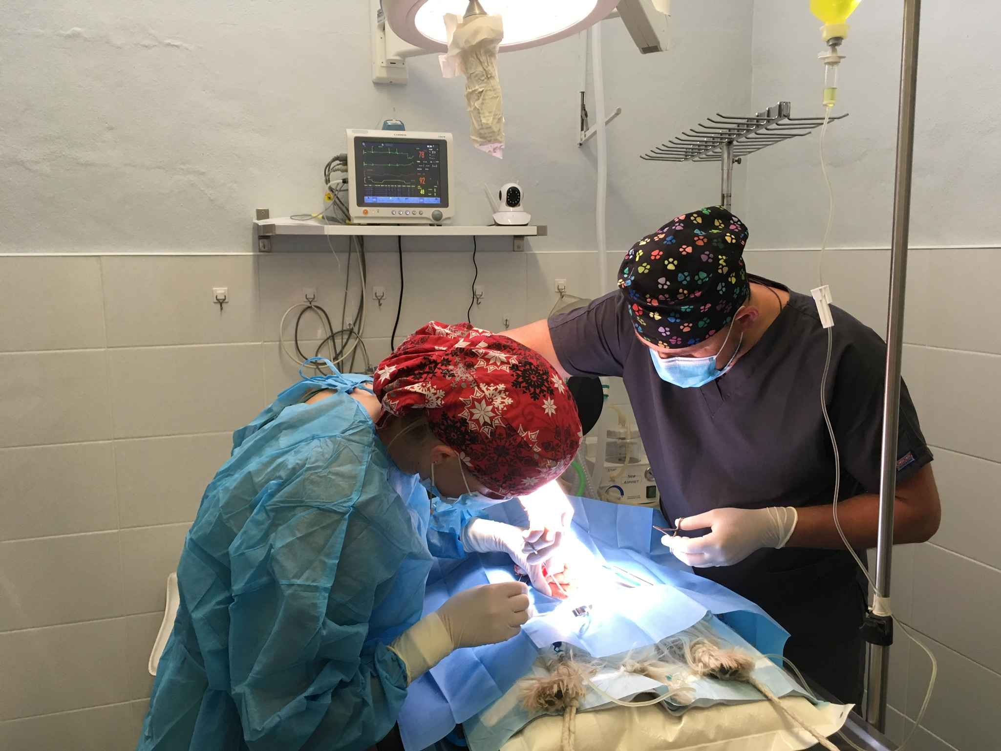 Image Title My Image